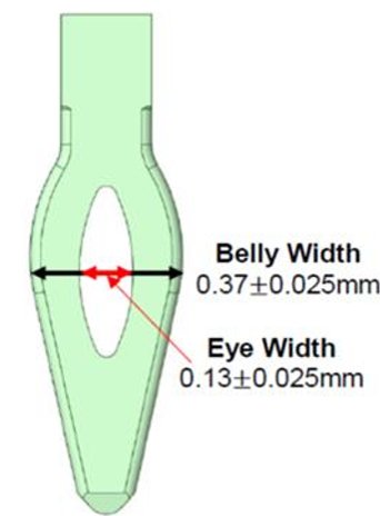 BellyWidth.png